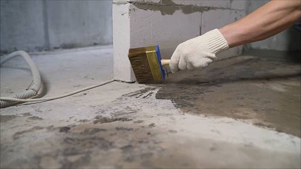 SJ Waterproofing Pros Basement Waterproofing coverage map for Springfield, GA and surrounding area